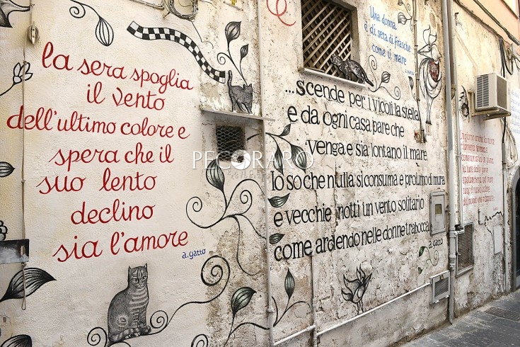 Salerno, atti vandalici contro la fondazione Alfonso Gatto - aSalerno.it