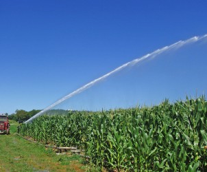 irrigazione campi