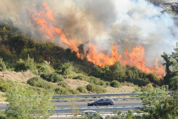 Incendio a Pisciotta, distrutti ettari di Macchia Meditarranea - aSalerno.it