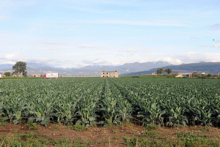 Coronavirus, Coldiretti Salerno: “I nostri prodotti agricoli sono i più sicuri” - aSalerno.it