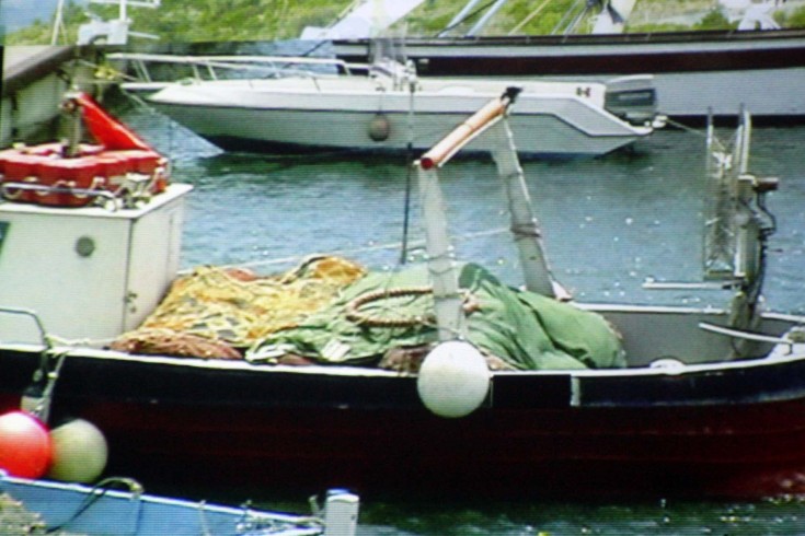 Pescavano “tonni rossi” nel Cilento, un denunciato - aSalerno.it
