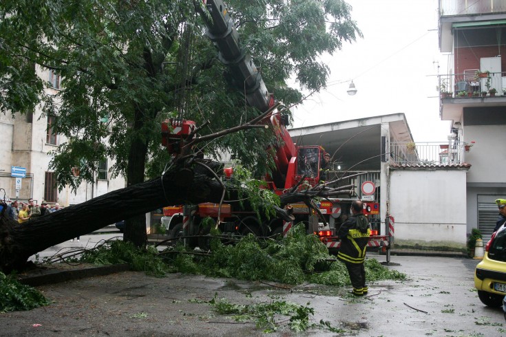 Pellezzano, crolla un albero sul Palazzetto dello sport - aSalerno.it