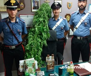 carabinieri-arresto-minori