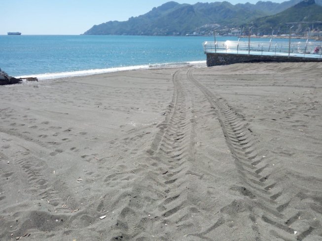 Salerno, parte pulizia delle spiagge libere: la nuova stagione balneare con regole e responsabilità - aSalerno.it