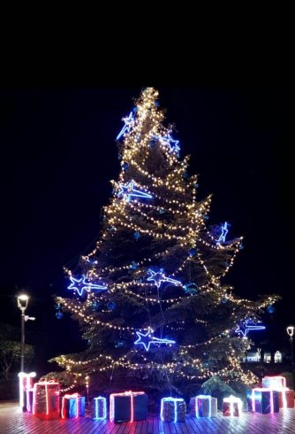 Si illumina il Natale a Baronissi: in ogni frazione il simbolo della festa - aSalerno.it