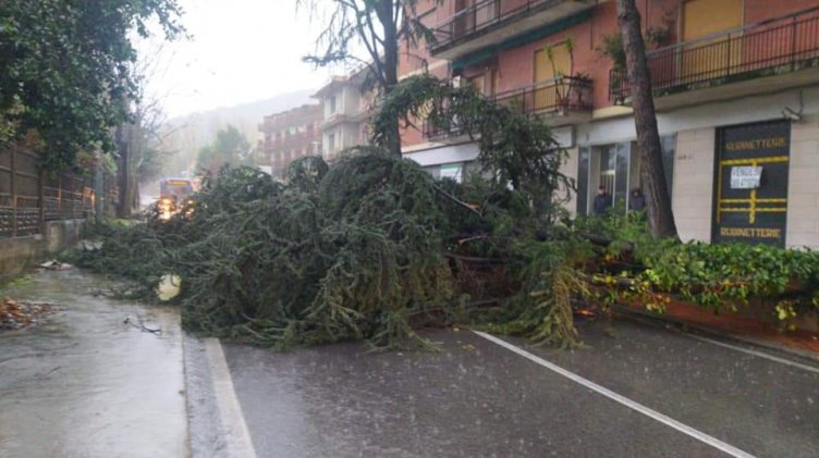 Cade albero sulla statale, strada bloccata al confine con Pellezzano - aSalerno.it