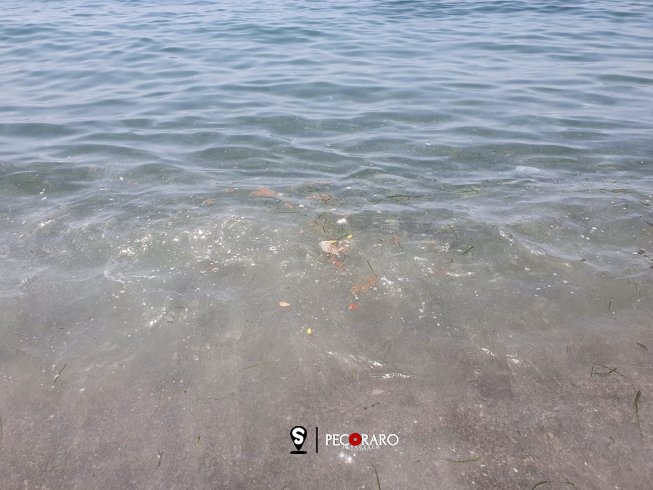 Mare sporco alla “Baia” a Salerno, bagnanti furiosi - aSalerno.it