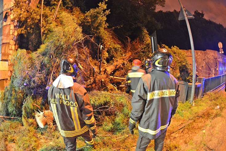 Paura a Sala Abbagnano, cade ramo di pino secolare sulla strada - aSalerno.it