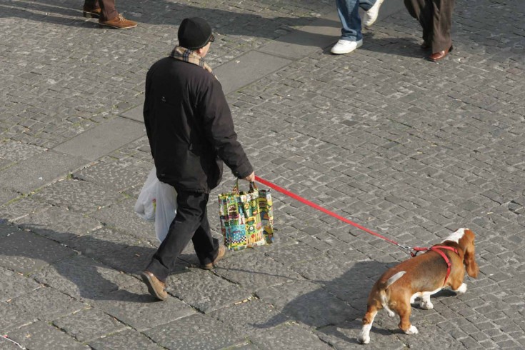 Pagani: vietato l’ingresso ai cani nella Villa Comunale, è protesta - aSalerno.it