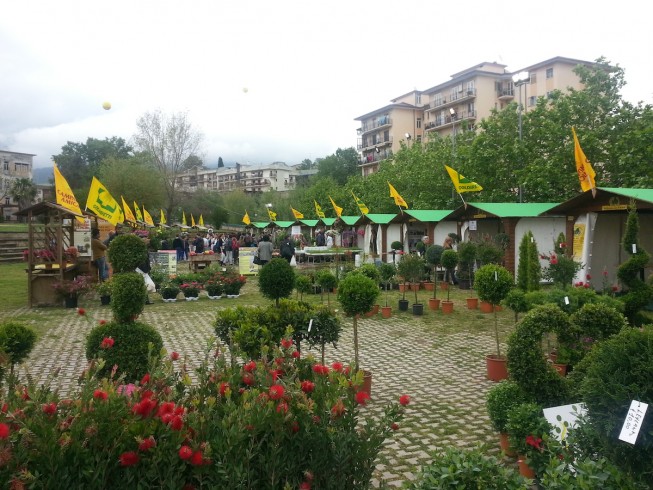 Torna Salerno in Flora, la kermesse dedicata al giardinaggio - aSalerno.it