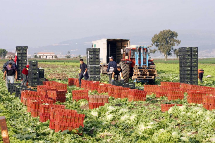 L’agroalimentare salernitano cresce più della media nazionale - aSalerno.it