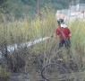 27 08 2012 Incendio Monte San Liberatore Vietri sul Mare