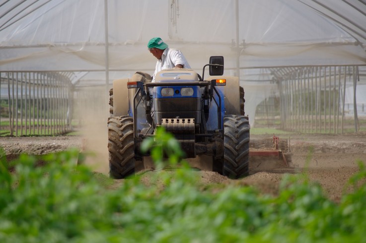 Eboli, muore operaio agricolo per probabile ipertermia e congestione - aSalerno.it