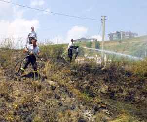 incendi boschivi