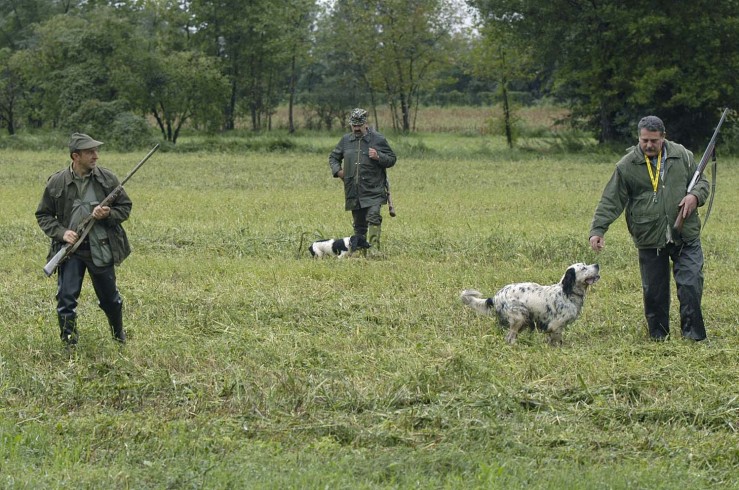 Associazioni animaliste scendono in piazza contro la caccia - aSalerno.it