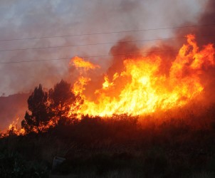 Incendi Boschivi