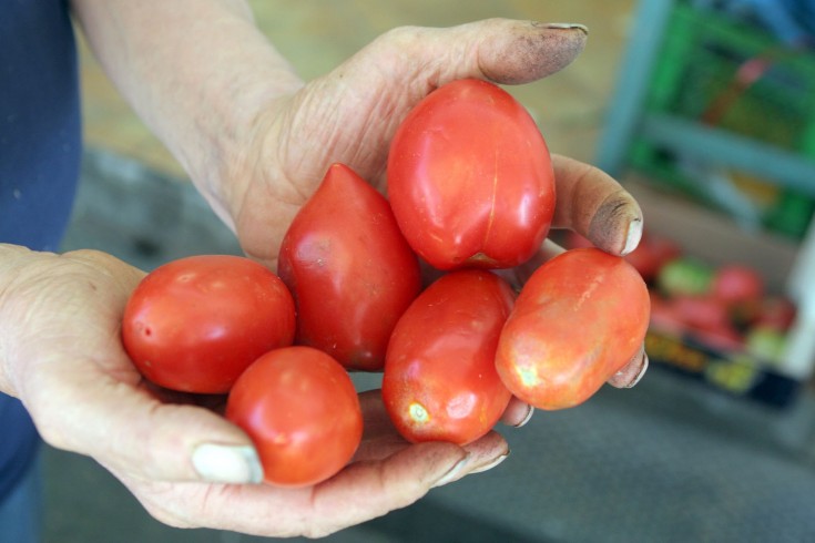 Sequestro passata di pomodoro, Carotenuto: “Avanti nella battaglia all’illegalità” - aSalerno.it