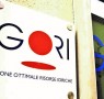 gori