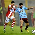 29 bovo