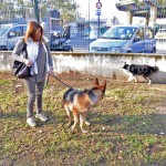 Cani01