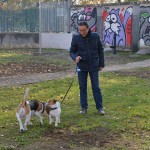 Cani06