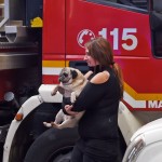 Incendio01
