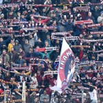 tifosi  (10)