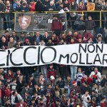 tifosi  (15)