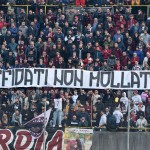 tifosi  (18)