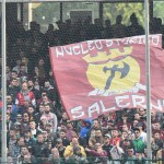 tifosi  (20)