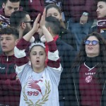 tifosi  (39)