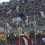 tifosi  (4)