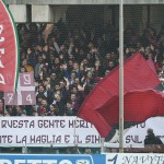 tifosi  (58)