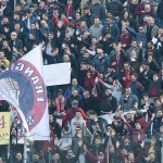 tifosi  (7)