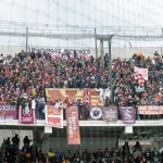 tifosi (58)