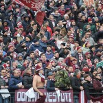 tifosi (70)