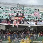 tifosi (72)