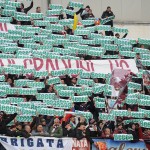 tifosi (73)
