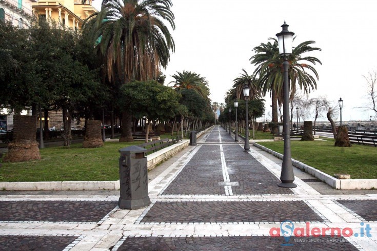 Affidato appalto sulle analisi agli alberi di Salerno, pronte verifiche su vita e salute - aSalerno.it