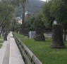 SAL - Salerno lungomare Taglio delle palme a lungomare