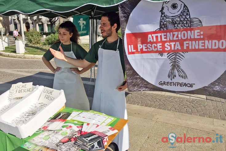 Volontari di Greenpeace a Salerno: “Il pesce sta finendo!” - aSalerno.it