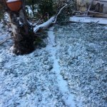 SAL - 06 01 2017 Eboli Canile invaso dalla neve. Foto Tanopress