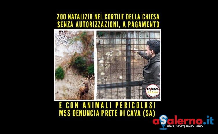 Animali esposti al Santuario di Cava, blitz dei Carabinieri dopo denuncia del M5s - aSalerno.it