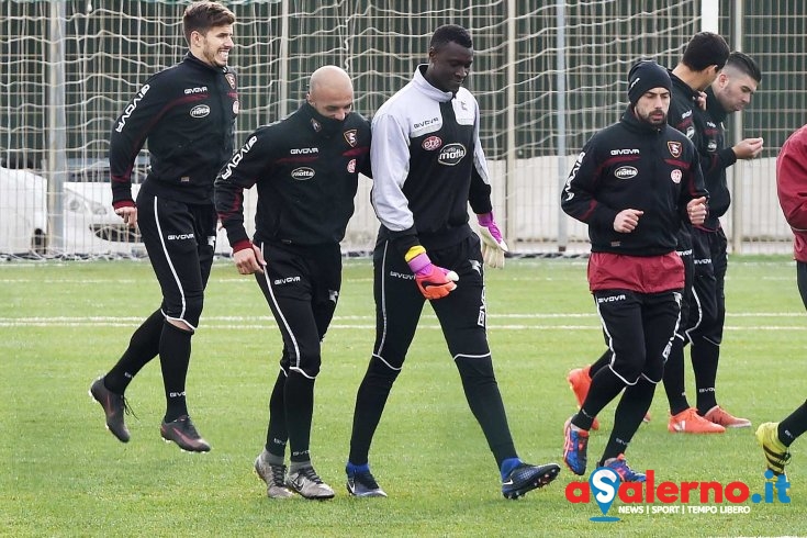 Il campo oltre il mercato, la Salernitana cerca la quinta vittoria all’Arechi - aSalerno.it