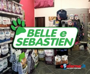 1 Belle e Sebastien (10)