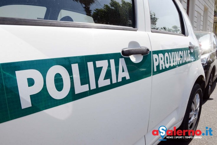 Rabbia sindacati: “In Polizia Provinciale atteggiamenti ai limiti del mobbing” - aSalerno.it