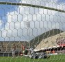 17 rosina gol