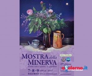 Mostra della Minerva 2017