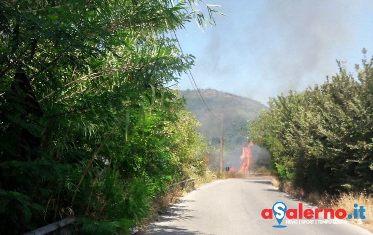 Incendio ad Ostaglio, fiamme vicino al canile e una pompa di benzina – FOTO - aSalerno.it