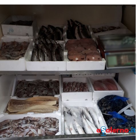 Sequestrati 76 chili di pesce ad un commerciante ambulante - aSalerno.it